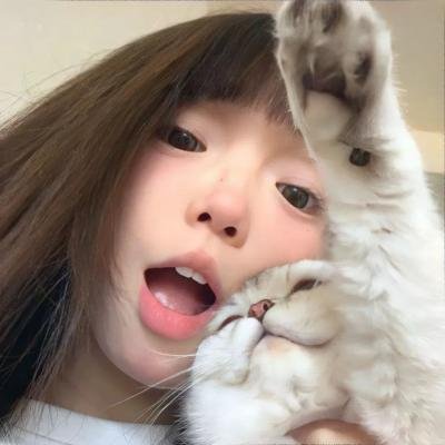 蛇和猫鼬