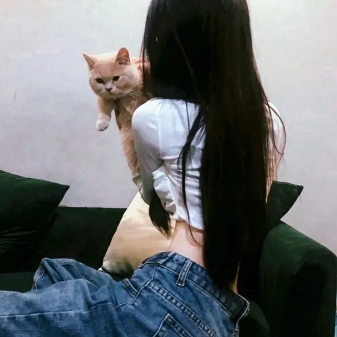 友趣的日子